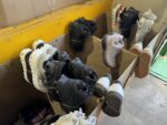 Athletic Shoes Export Pallet – Huge Wholesale Lot - Image 4