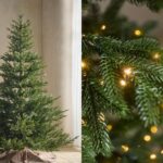 Chrismas Tree Pallet – Premium Wholesale Lot