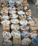 Ecom Undeliverables Smalls Tall Truckload – Massive Wholesale Lot - Image 2
