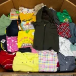 Clothing (Fashion)