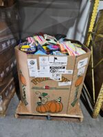 CVS Summer Goods Liquidation Pallet