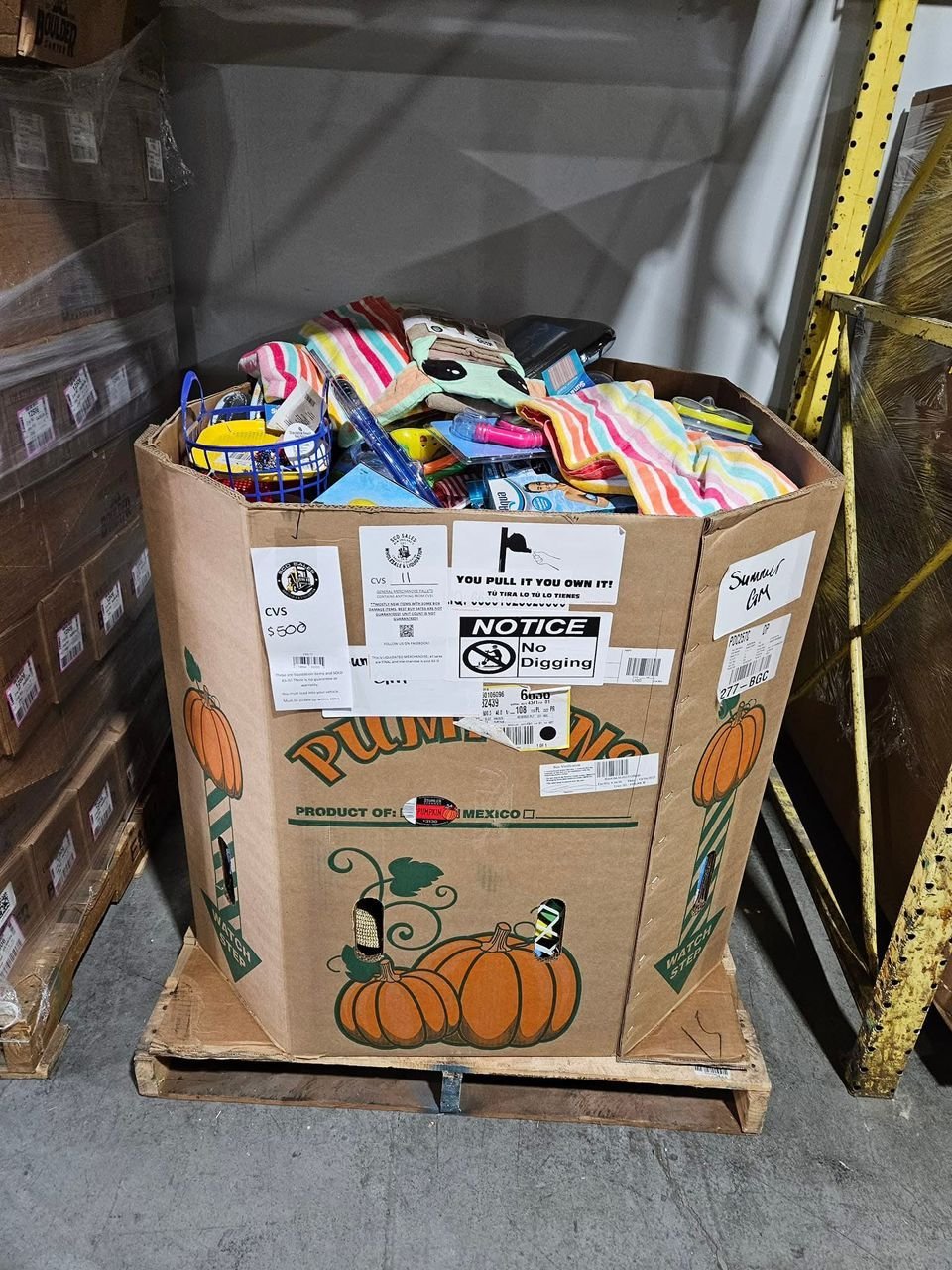 WhatsApp-Image-2025-10-23-at-15.48.04.jpeg CVS Summer Goods Liquidation Pallet - Image 1