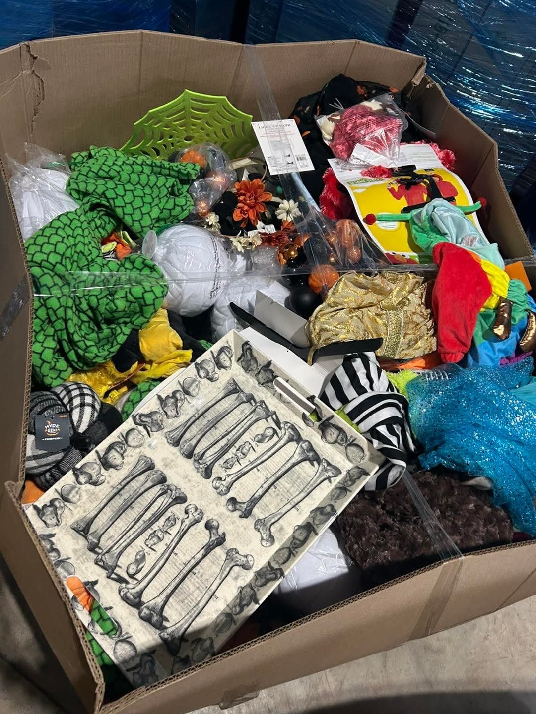 lpd-liquidation-lot-2528.jpg Halloween Costume Liquidation Pallet - Image 1