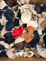 Nwt Skims Bras Liquidation Pallet - Image 2