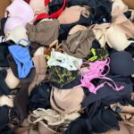 Nwt Skims Bras Liquidation Pallet